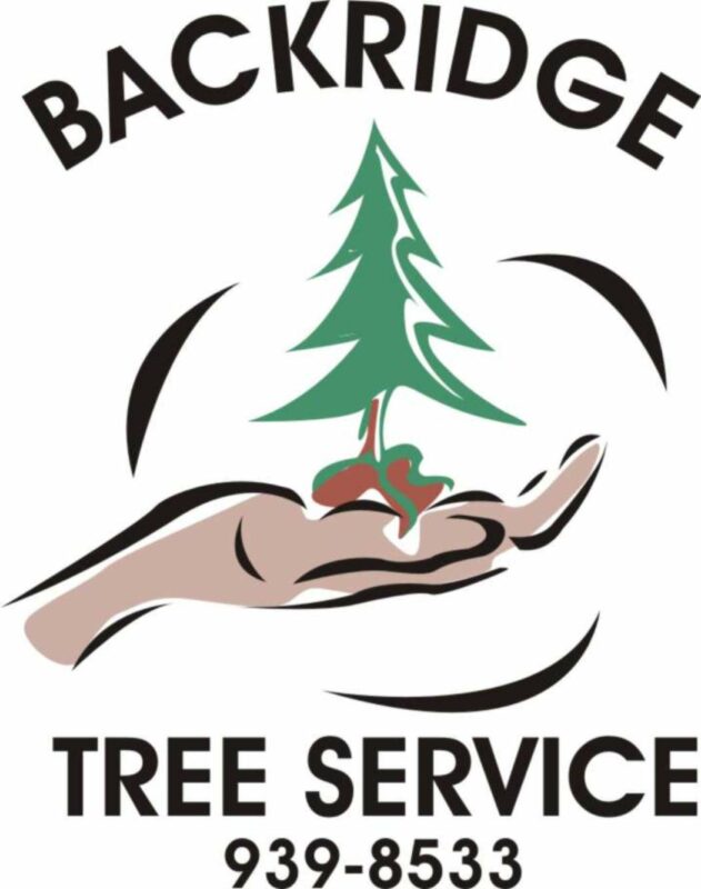 Backridge Tree Service Old Logo
